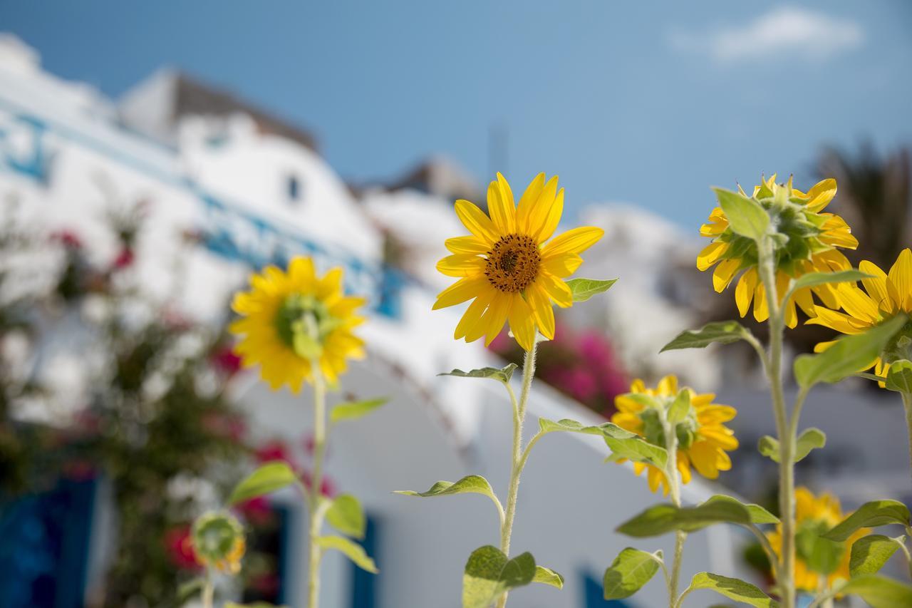 Annio Santorini Daire Imerovigli  Dış mekan fotoğraf